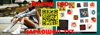 Альфа ПВП Бийск