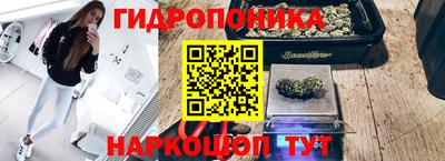 сатива Берёзовский