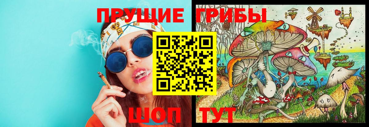 Галлюциногенные грибы Psilocybine cubensis Каменск-Уральский